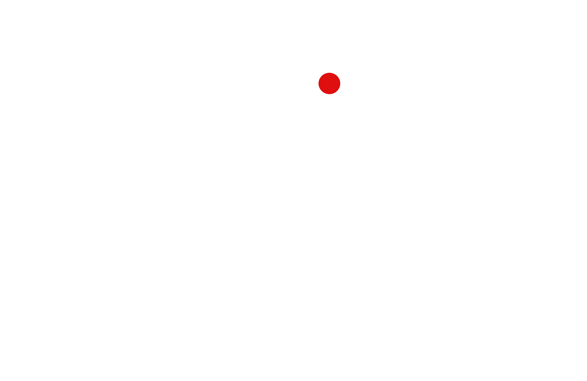 Videocamerawala
